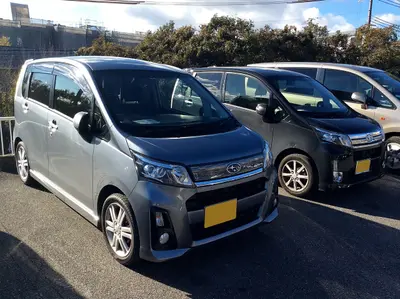 ステラ